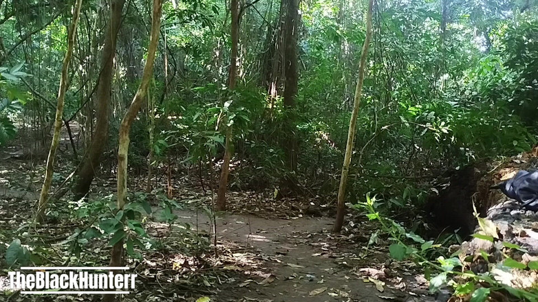 TheBlacKHunterr: Vyvrcholení v parku