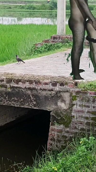 पहली बार मुस्लिम प्रेमिका सेक्स वीडियो