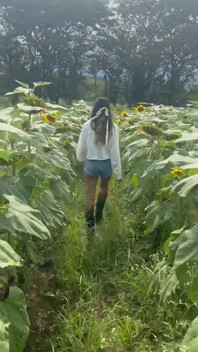 Some Flowers All Together