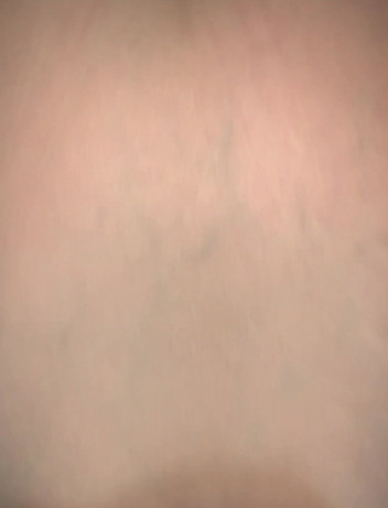 Wetwife2024: Mainan dubur 12 inci