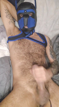Pup Talking Dirty to You