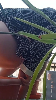 I Pee in the Potted Plant Again