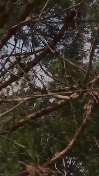 Přílišná zábava, která na mě čekala, byla více erotika, než jsem si kdy představoval! 4-5