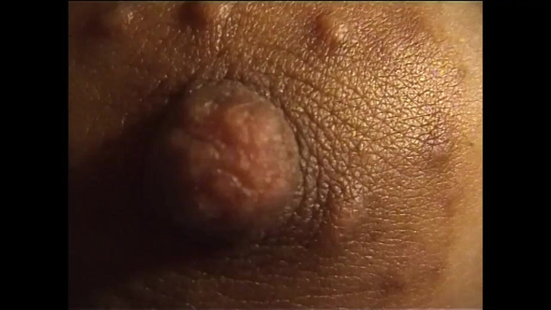 My Dirty Family: Гарне миття кицьки