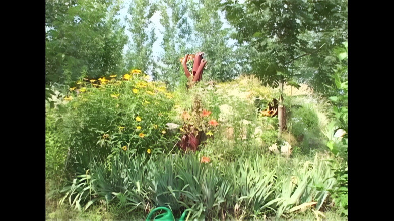 Xtime Grannies: De Sexy Dikke Meisjes