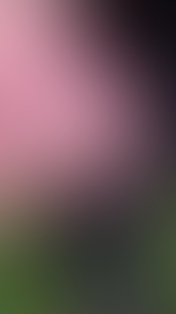 Big Uncut Cock Cruising, Close up Wanking in the Woods Wearing Work Clothes - Rockard Daddy