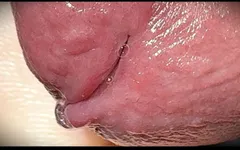Une bite blanche se fait caresser jusqu’à l’orgasme