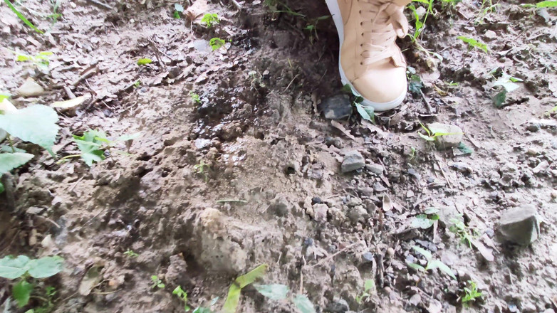 Adele Amber: 自然中的雨