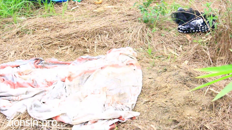 Zion: De verdomde levensstijl in Afrika is iets anders