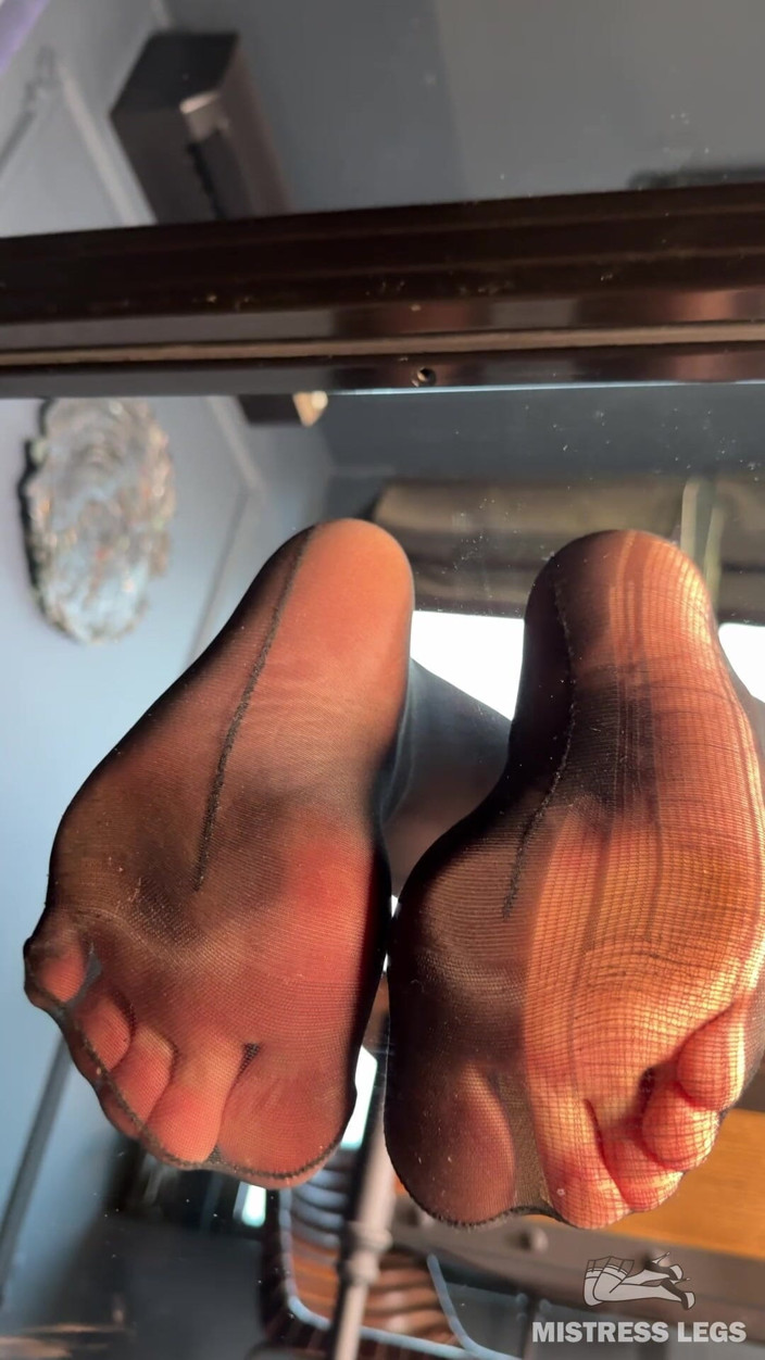 Mistress Legs: Sledujte, jak tě škádlím roztrhanými nylonovými nohami skrz sklo