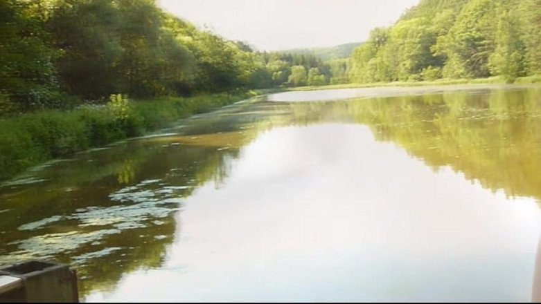 Watch4beauty: Ładna żaba