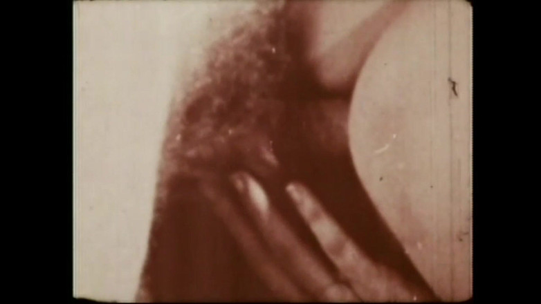 Vintage megastore: Ekscytator Świń