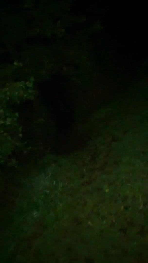 Slutboyben: Slutboyben Cam4 Ratu Eksibisualis seksi Belanda