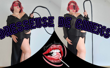 Douceur sucree: Slave Trainer