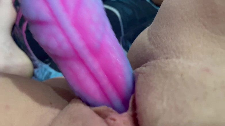 RoxxyReed: Bạch tuộc