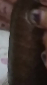 Belde stiefzus en masseerde mijn penis