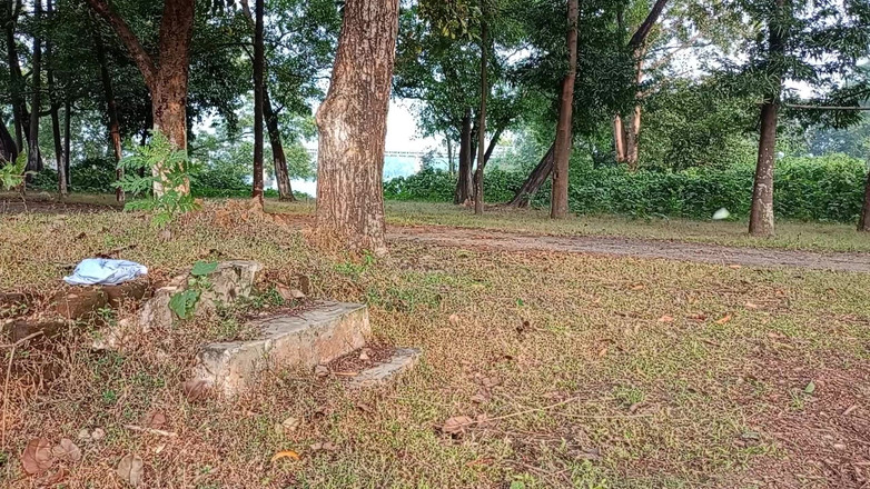 LinearOrnament35: 여친을 무릎 꿇고 따먹는 운동