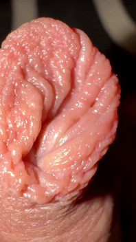 Wake up with Small Hard Uncut Cock
