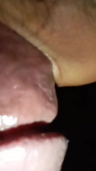 My Horny Dick