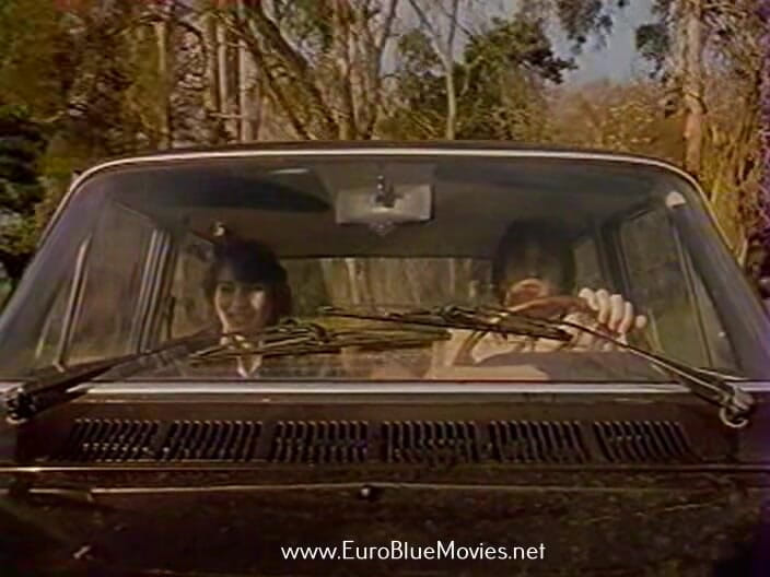 Euro Blue Movies: Clinica de fantezii 1980