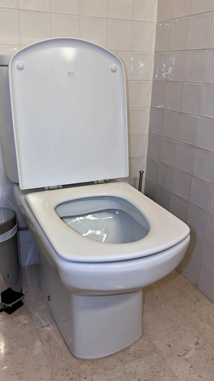 Emma Voyeur: Compilation De Pipi Torrides Dans Les Toilettes, Gros Plan