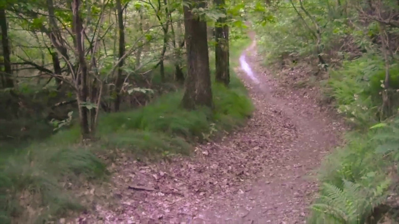 BELLOeBIOTTO: Xuất tinh đẹp và dài, cởi trần, trong một khu rừng...