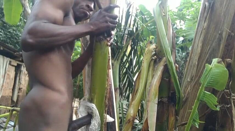 Bangcum8: Homem sozinho na floresta e faça a árvore plantain é esposa e...