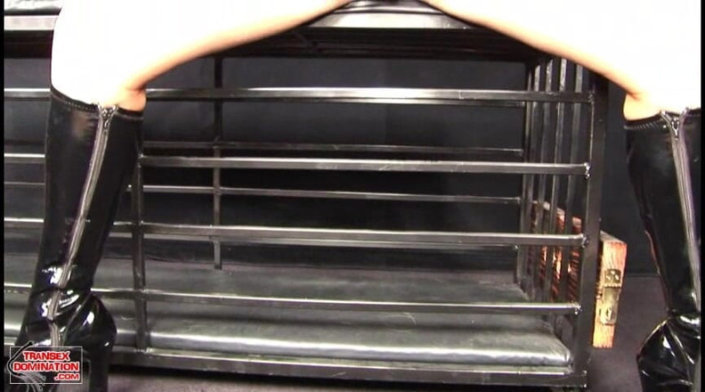 Transex domination: Holly sweet perverzní sólo