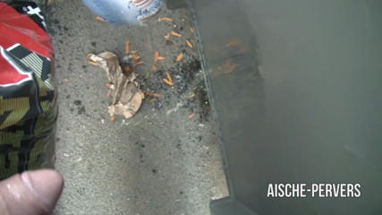 Aische Pervers: Her first pisswalk