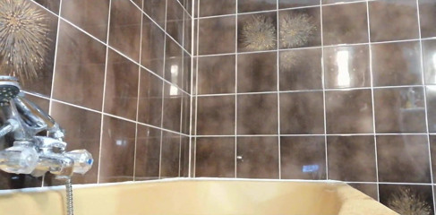 The Antichristrix: Hairy piss and shower