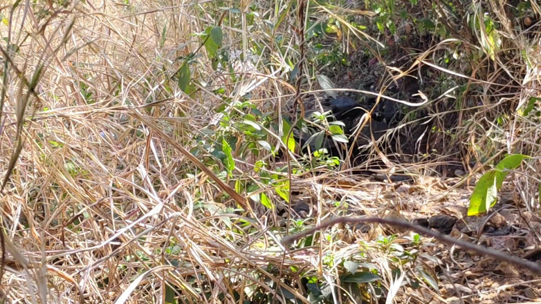 Sexy biwi: Ich Habe Meine Alte Freundin Im Wald Gefickt