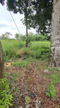 Saya mahu menghisap batangnya dan mengongkeknya di luar rumah, saya sangat sukakan itu