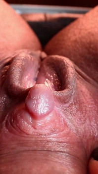 HD Clit 3