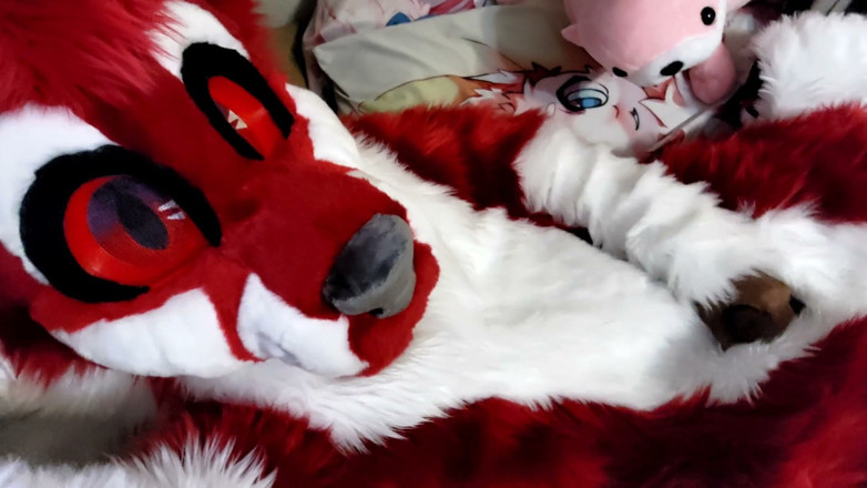 PawgrammerSocks: Jerking off and Showing Footpaws in Full-body Fursuit