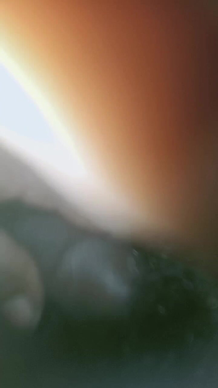 Monjuli: My Wife Night