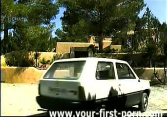 GERMAN PORN CLASSICS: Sex dagar runt fittan HERZOG VIDEO