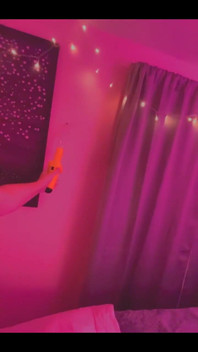 Not Invited Sir Stinkbug