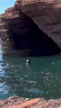 Freediving fetiche fantasía aletas, jadeos y control bajo el agua
