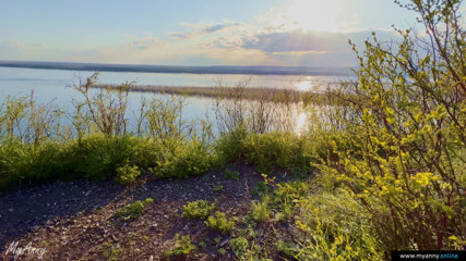 MyAnny: Beauty in sexy shorts sweetly sucks cock and swallows cum...