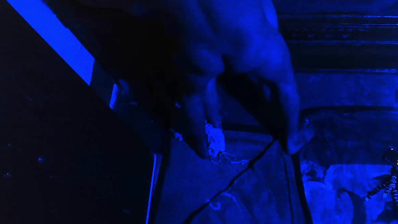 Busty Banuu: Un couple indien sexy baise