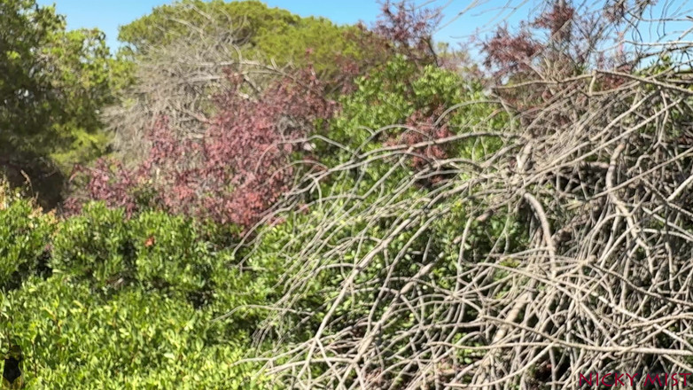 Nicky Mist: 내 젖탱이에 사정할 수 있는 최고의 장소