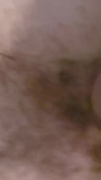 Flopping My Cock Around in Bed Naked