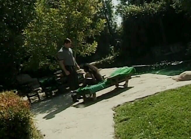 Dark Extreme: Poesje gelikt zwarte schoonheid met ronde reet wordt geneukt bij...