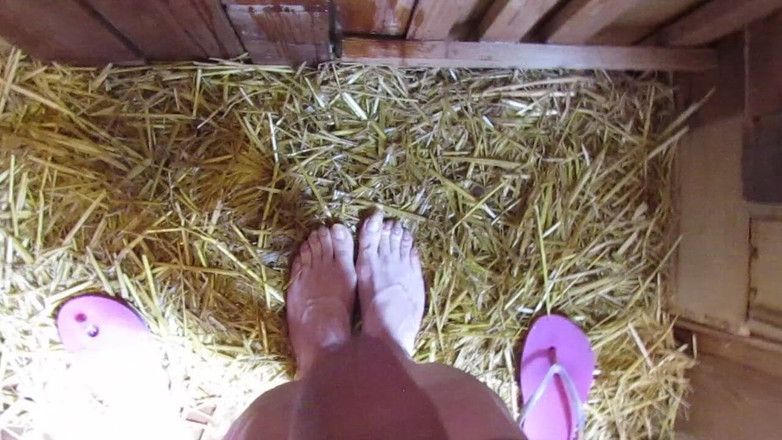 Lilly Disgrace: Pissy Sissy