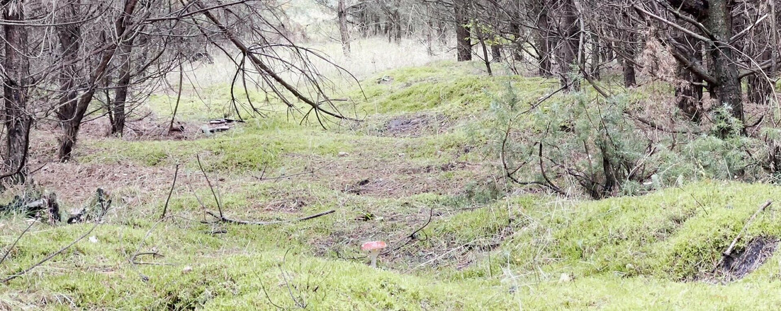 Apomit: Ukazuji si zadek náctiletého růžového provázku