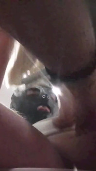 MILF z blond kucykami ssie kutasa z wytryskiem w ustach