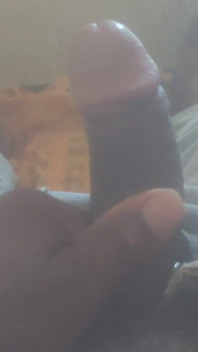 Desi Land 6 Inch