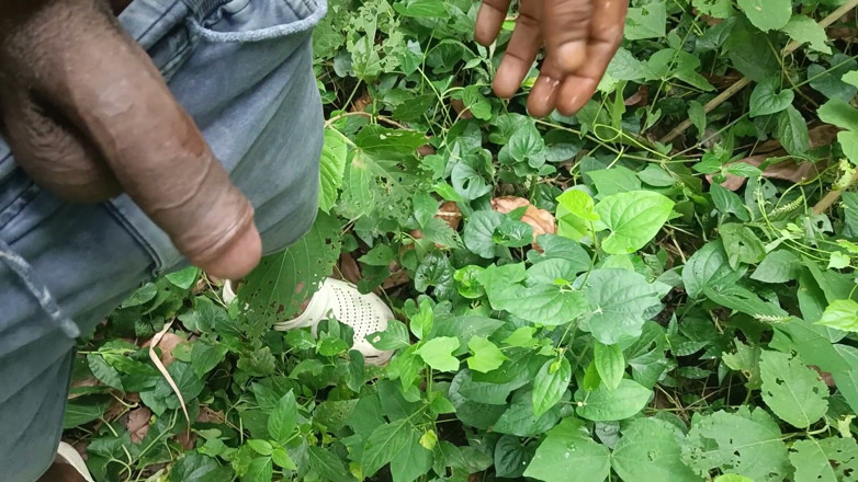 Ranjit Roy: Young mature work in Deep forest.