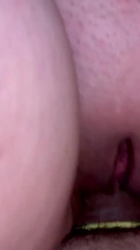 Inseminatie op gebruikersbijeenkomsten 2