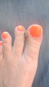A Magical Star Using My Flexible Toes;)